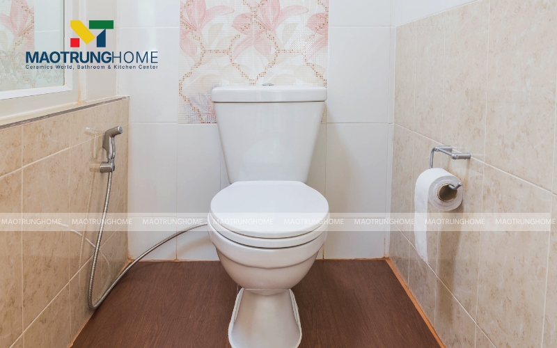 Một chiếc bồn cầu với lớp men tốt và hệ thống xả mạnh mẽ sẽ ngăn ngừa vi khuẩn phát triển