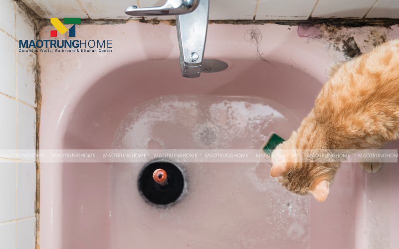 Xả nước vào bồn tắm sao cho mực nước đủ ngập phần mép cao su của pittong