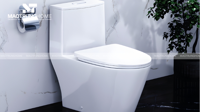 Mẫu bồn cầu Caesar CD1363