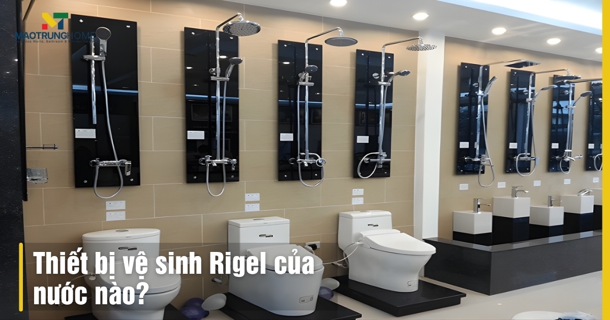NẮP BỒN CẦU RIGEL ĐÓNG ÊM NHẬP KHẨU NGUYÊN CHIẾC