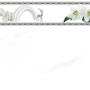 Gạch Hoàn Mỹ Vân calacatta 30x60 03119