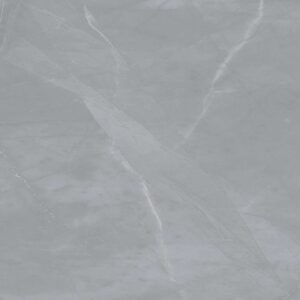 Gạch ốp lát polish Viglacera 40x80 CL5-GP4802