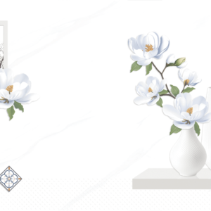 Gạch Hoàn Mỹ Vân calacatta 30x60 04625