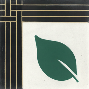 Gạch bông 20X20cm