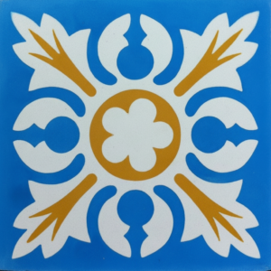 Gạch bông 20X20cm