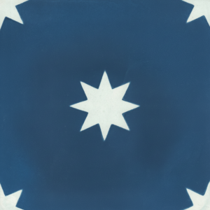 Gạch bông 20X20cm