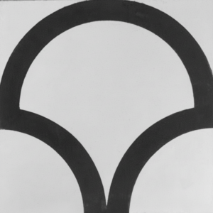 Gạch bông 20X20cm