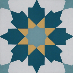 Gạch bông 20X20cm