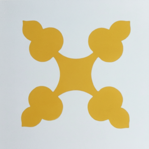 Gạch bông 20X20cm