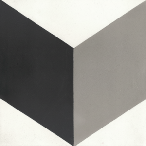 Gạch bông 20X20cm