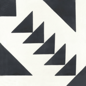 Gạch bông 20X20cm