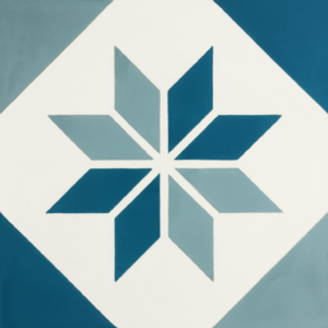 Gạch bông 20X20cm