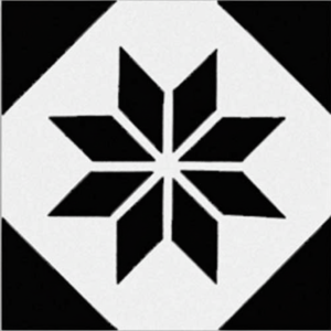 Gạch bông 20X20cm