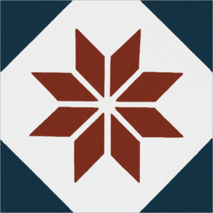 Gạch bông 20X20cm