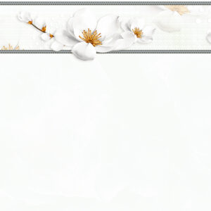 Gạch Hoàn Mỹ Vân mây 40x80 20050