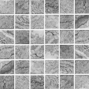 Gạch trang trí Vietceramic 30x30 2SR1-HIALGY