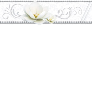 Gạch Hoàn Mỹ Trắng trơn 40x80 20053