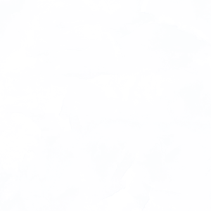 Gạch Hoàn Mỹ Vân calacatta 40x80 01167