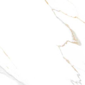 Vgres Color Body Amazon 60x120 612990127ATWP