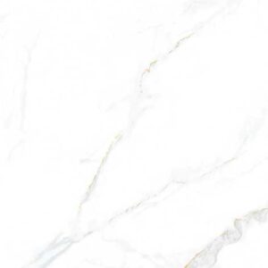 Vgres Color Body Amazon 60x120 612990128ATWP