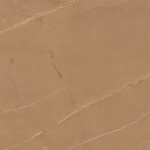 Gạch vân đá marble Vietceramic 60x120 612ARGO