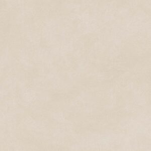 Gạch thiết kế xi măng Vietceramic 60x120 612BNKA