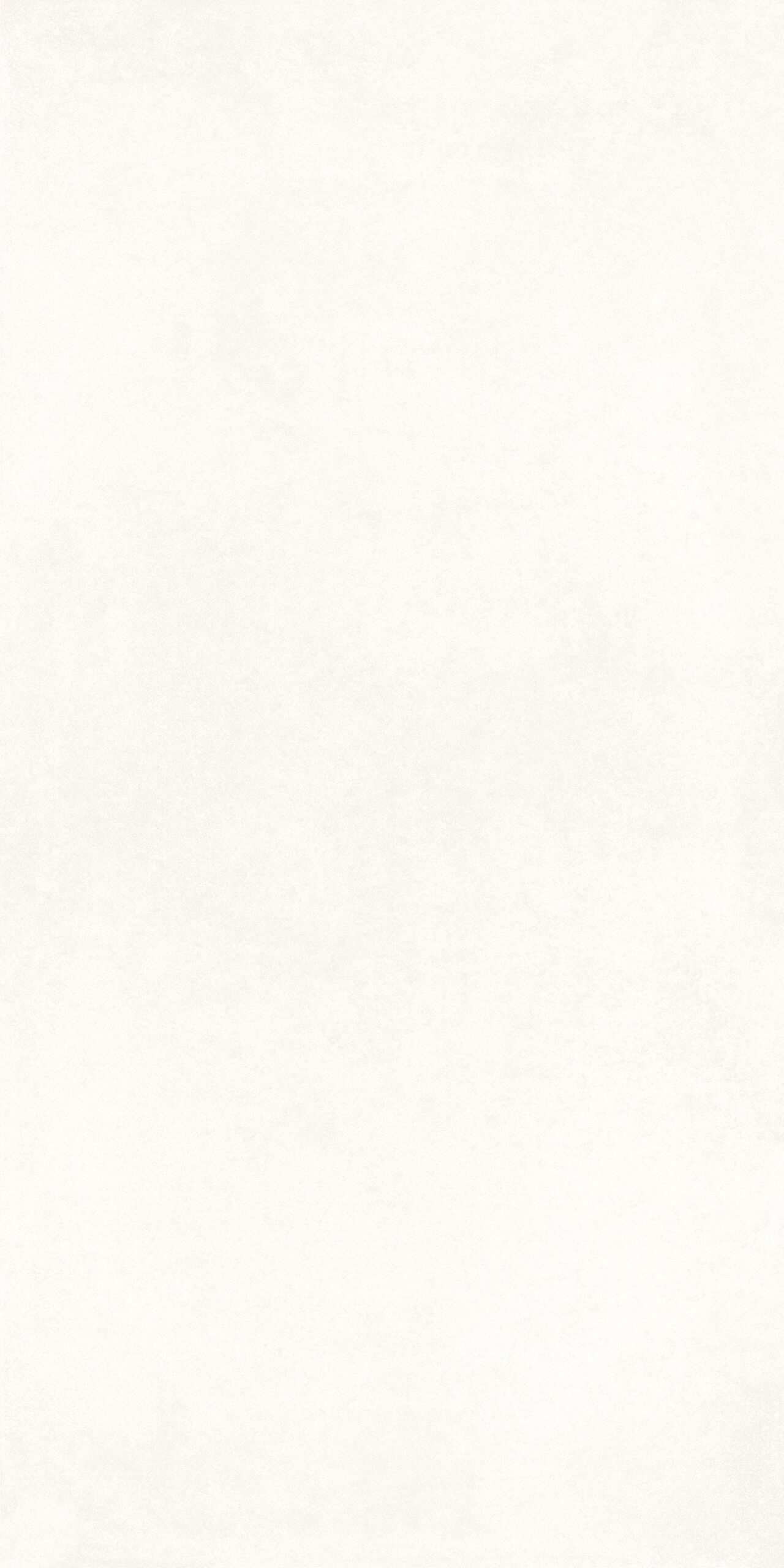 Gạch thiết kế xi măng Vietceramic 60x120 612EVEBIA - Ảnh 5