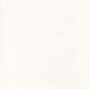 Gạch thiết kế xi măng Vietceramic 60x120 612EVEBIA