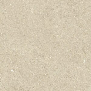 Gạch vân đá tự nhiên Vietceramic 60x120 612LGXIN10