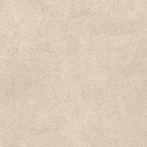 Gạch thiết kế xi măng Vietceramic 60x120 612M1261140