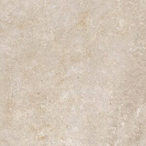 Gạch vân đá tự nhiên Vietceramic 60x120 612NUIV