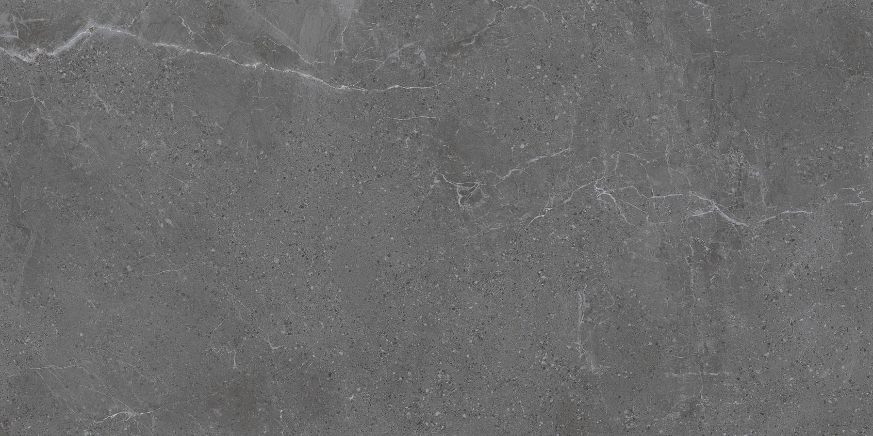 Gạch vân đá tự nhiên Vietceramic 60x120 612PM126189 - Ảnh 2