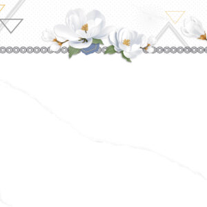 Gạch Hoàn Mỹ Vân calacatta 30x60 04179