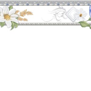 Gạch Hoàn Mỹ Màu trắng 30x60 04160