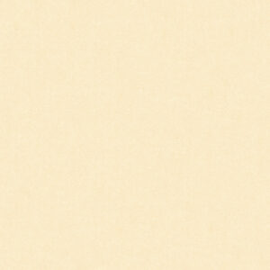 Gạch Hoàn Mỹ Vân cát 60x60 08306