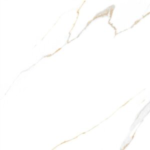 Vgres Color Body Amazon 80x80 808990212ATWP