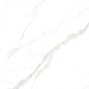 Vgres Color Body Amazon 80x80 808990213ATWP