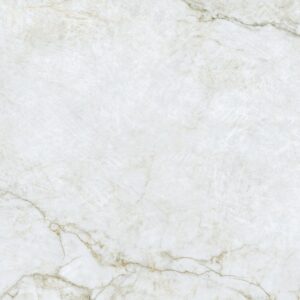 Gạch vân đá marble Vietceramic 90x90 90PRGOPUL