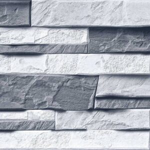 Gạch Gạch trang trí Ý Mỹ 20x40 A24003TS