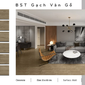 Gạch Lát nền, ốp tường Ý Mỹ 15x60 C156002R