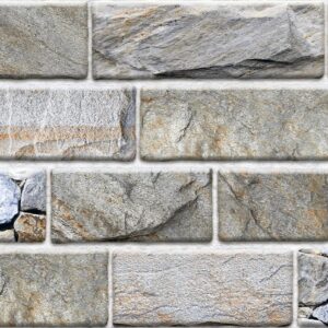 Gạch Gạch trang trí Ý Mỹ 20x40 C24002TS