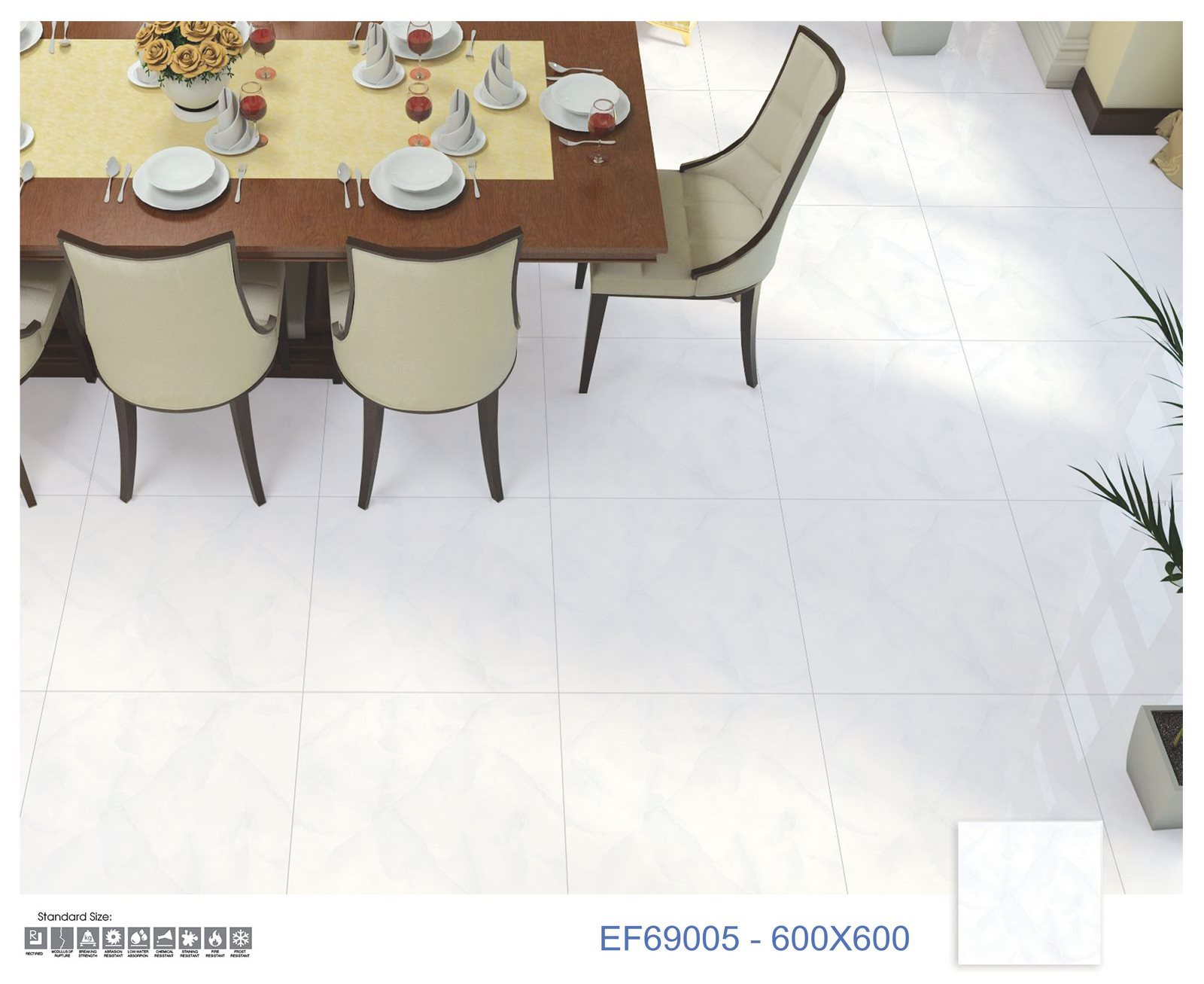 Gạch Lát nền Ý Mỹ 60x60 EF69005 - Ảnh 3