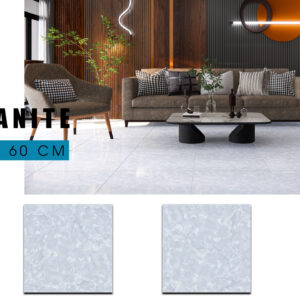Gạch Lát nền Ý Mỹ 60x60 EN69007R