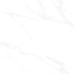 Gạch Lát nền Ý Mỹ 60x60 EY6095R