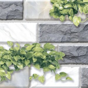 Gạch Gạch trang trí Ý Mỹ 20x40 F24005TS