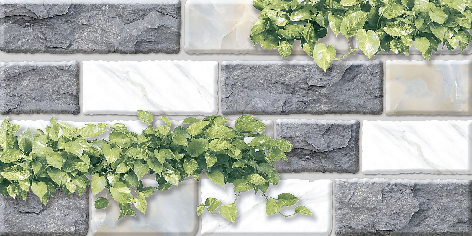 Gạch Gạch trang trí Ý Mỹ 20x40 F24005TS