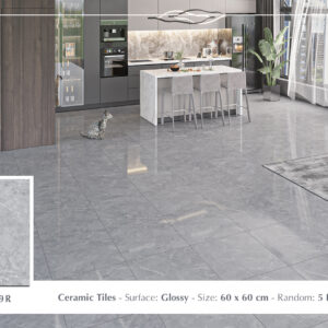 Gạch Lát nền Ý Mỹ 60x60 F6049R