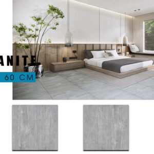 Gạch Lát nền Ý Mỹ 60x60 F65021R