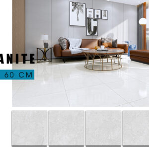 Gạch Lát nền Ý Mỹ 60x60 F68049R