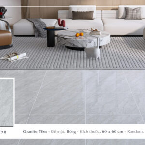 Gạch Lát nền Ý Mỹ 60x60 F68059R